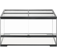 Leeres Glasterrarium mit Belüftung