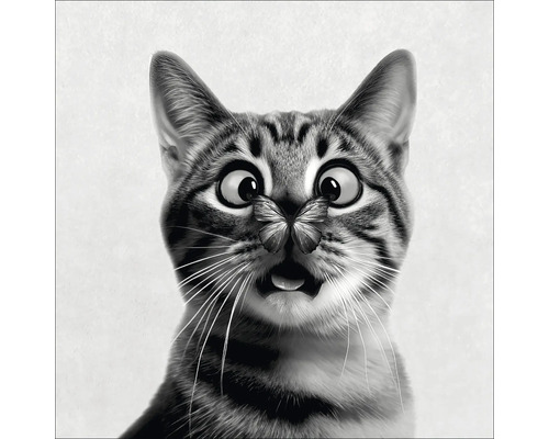 Nahaufnahme einer Katze mit Schmetterling auf der Nase