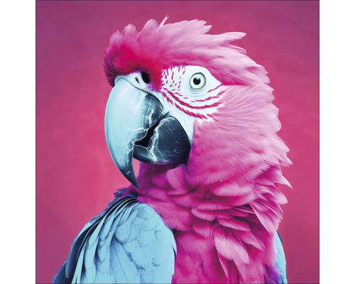 Porträt eines Papageis