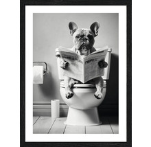 Gerahmtes Poster mit einem Hund auf einer Toilette, der eine Zeitung liest