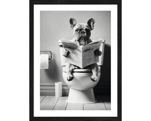 Gerahmtes Poster mit einem Hund auf einer Toilette, der eine Zeitung liest