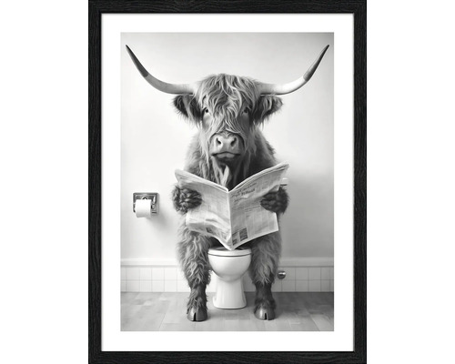 Gerahmtes Bild Lust Hochlandrind I 33x43 cm Gerahmtes Bild eines schottischen Hochlandrindes, das auf einer Toilette sitzt und eine Zeitung liest
