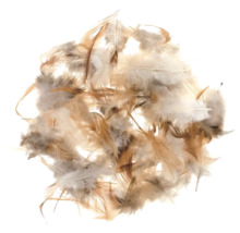 Haufen Federn für Füllmaterial