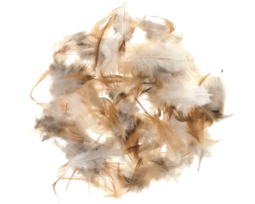 Haufen Federn für Füllmaterial