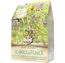 Samenpackung Sperli's Bodenkur Schnellgrüner für eine Fläche von 60 m²