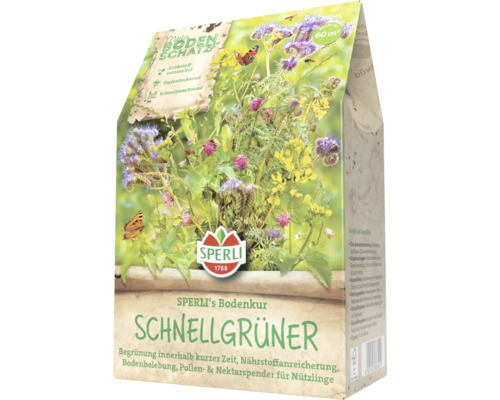 Samenpackung Sperli's Bodenkur Schnellgrüner für eine Fläche von 60 m²