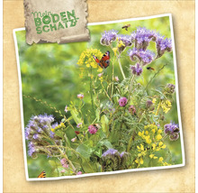 Mein Bodenschatz Blumensamenmischung mit verschiedenen Blüten und Insekten