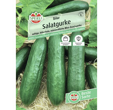 Silor Salatgurken Samen von Sperli