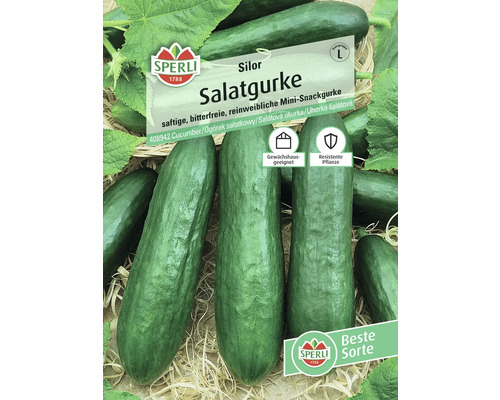 Silor Salatgurken Samen von Sperli