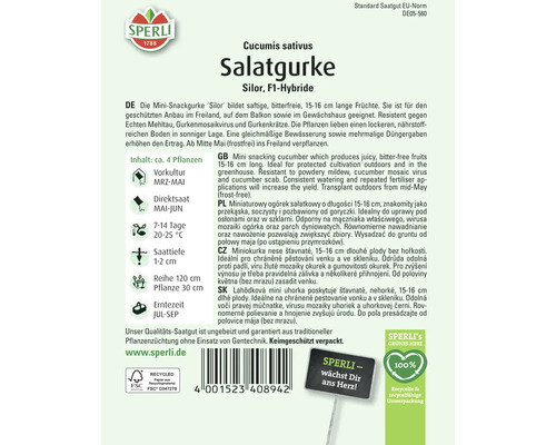 Samenpackung Salatgurke Silor F1-Hybride der Marke Sperli