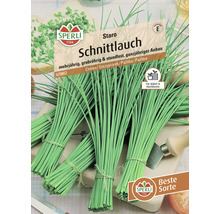 Sperli Schnittlauch Saatgutpackung für mehrjährigen Anbau