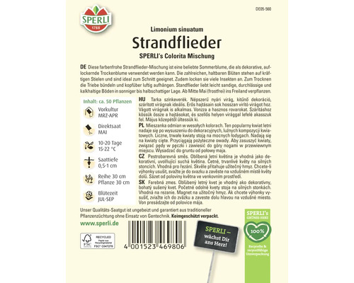 Samenpackung Strandflieder Colorita Mischung von Sperli