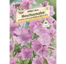 Sperli's Rosa Moschusmalve, mehrjährige, einheimische Wildblume, Höhe circa 80 cm, für Nützlinge
