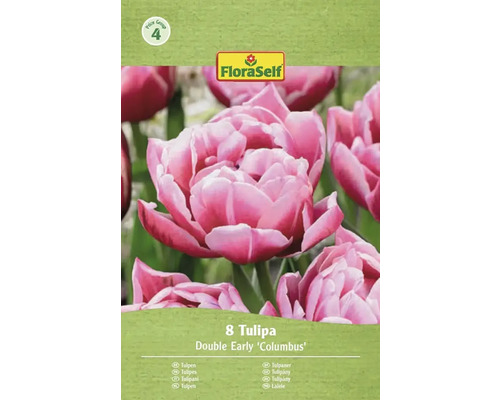 FloraSelf Tulpen Double Early Columbus, 8 Stück