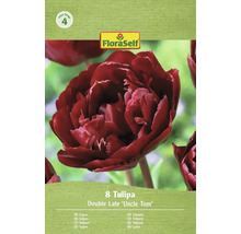 Verpackung mit 8 Tulpen der Sorte Double Late 'Uncle Tom' von FloraSelf