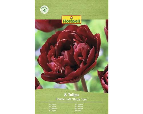 Verpackung mit 8 Tulpen der Sorte Double Late 'Uncle Tom' von FloraSelf