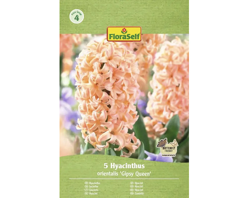 Verpackung mit fünf Hyazinthen der Sorte Gipsy Queen von FloraSelf