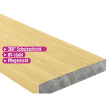 WPC-Terrassendiele mit 360 Grad Schutzschicht, UV-stabil und pflegeleicht