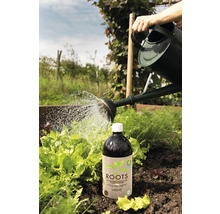 Gartenszene mit Gießkanne und Flasche Wurzelstimulator zur Förderung von starkem Wurzelwachstum