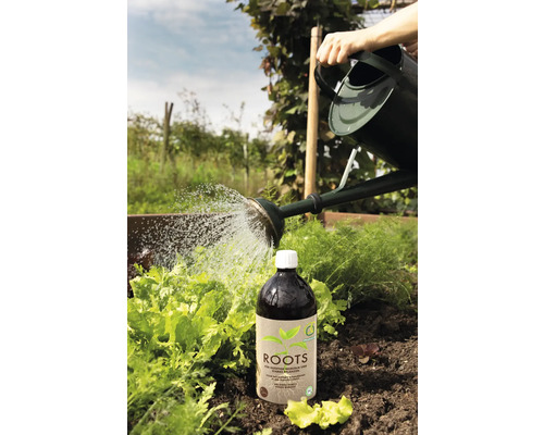 Gartenszene mit Gießkanne und Flasche Wurzelstimulator zur Förderung von starkem Wurzelwachstum