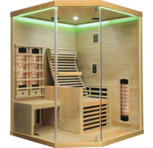 Innenansicht einer Infrarotsauna aus Holz mit Glasfront und Liegebänken