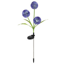 Solarleuchte mit Alliumblüten für den Garten