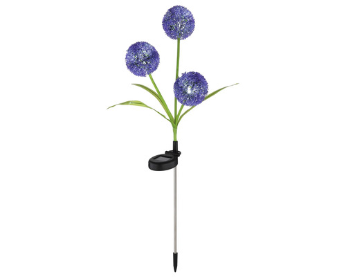 Solarleuchte mit Alliumblüten für den Garten