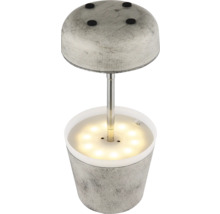 LED-Pflanzgefäß mit Lampenfunktion