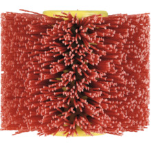 Walzenbürste für Reinigungsarbeiten