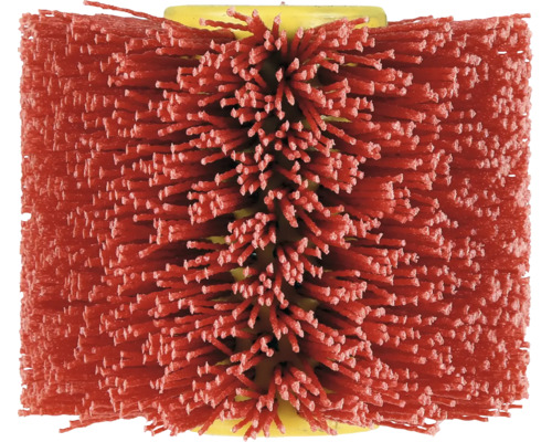 Walzenbürste für Reinigungsarbeiten