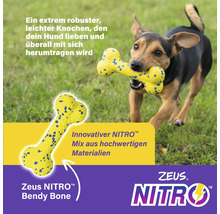 Hund mit Zeus Nitro Bendy Bone Spielzeugknochen im Maul