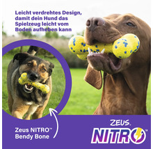 Zwei Hunde mit einem Zeus Nitro Bendy Bone Hundespielzeug.