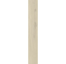 Holzpaneel mit Holzmaserung