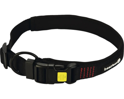 Schwarzes Hundehalsband mit Schnalle und D-Ring