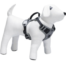 Hundegeschirr am Hundemodell
