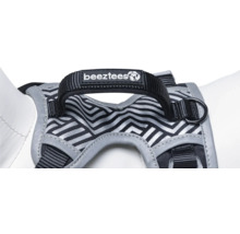 Hundegeschirr mit Muster und Beetztees Logo