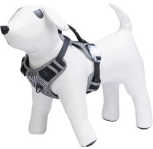 Hundegeschirr mit Streifenmuster und Leuchte