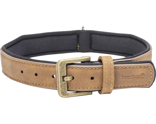 Hundehalsband aus Leder mit Metallschnalle