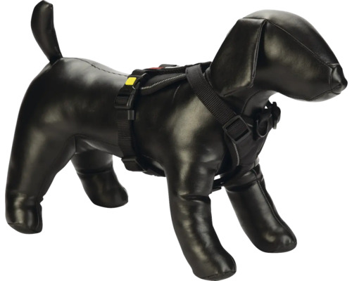 Schwarzes Hundegeschirr am Hundemodell