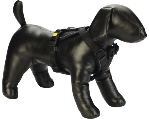 Hundegeschirr am Hundemodell