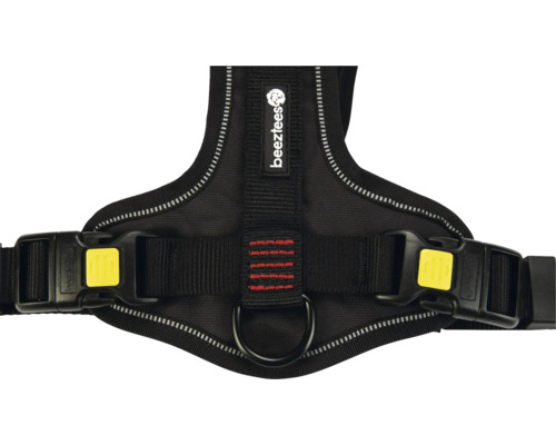 Beispiel eines Hundegeschirrs mit Schnallen und Beenztees Logo.
