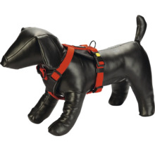 Hundeharnisch, rot, am schwarzen Dackel-Dummy