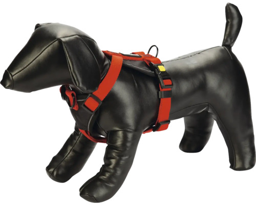 Hundeharnisch, rot, am schwarzen Dackel-Dummy