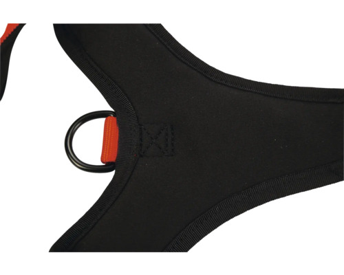 Detailansicht eines Klettergurtes mit D-Ring