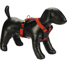 Hundegeschirr mit rotem Gurt