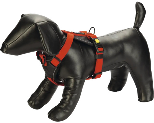 Hundegeschirr am Hunde-Dummy