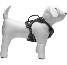 Hundegeschirr auf einer Hundepuppe