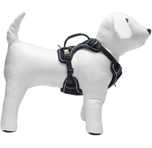 Hundegeschirr am Hunde-Dummy
