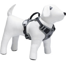 Hundegeschirr an einer Hundepuppe