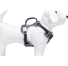 Hundegeschirr mit Griff